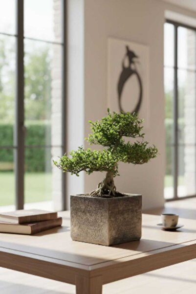 EL YAPIMI Özel Tasarım Büyük Boy Kare Saksı Ağaç Saksısı