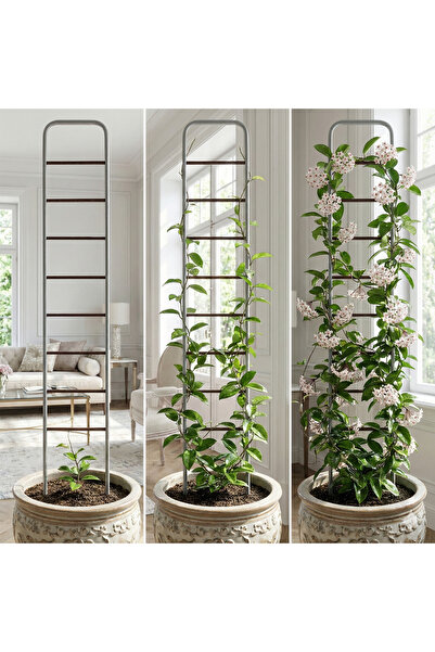 Genel Markalar Akat Cosy Saksı Ve Bahçe Bitkileri Destek Merdiveni (25 X 140 Cm)