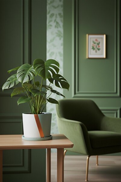 EL YAPIMI Büyük Boy Özel Tasarım Saksı + Tabak Ağaç Saksısı Yuvarlak Oval Kar...