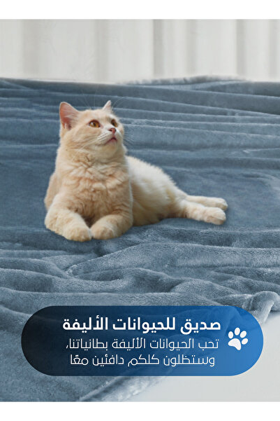 Master Home Textile Lightweight Velvet Blanket, 350GSM, 260x240cm King Size, Soft All Season Flannel for Bed & Sofa