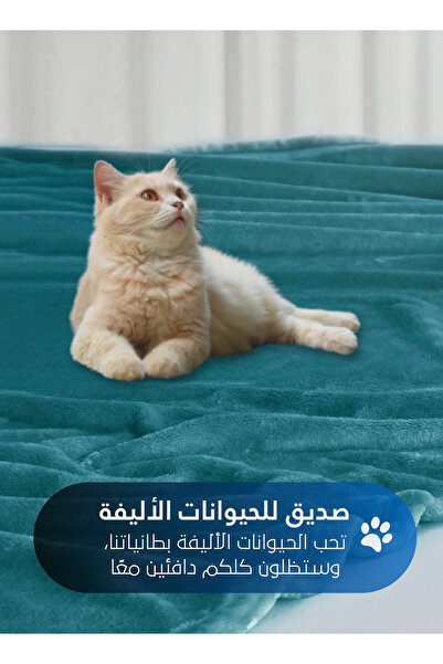 Master Home Textile Lightweight Velvet Blanket, 350GSM, 260x240cm King Size, Soft All Season Flannel for Bed & Sofa