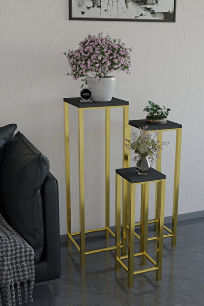 alpaevmobilya Modern 3'lü Metal Ayaklı Saksılık Dekoratif Çiçeklik Çok Amaçlı...