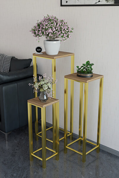 alpaevmobilya Modern 3'lü Metal Ayaklı Saksılık Dekoratif Çiçeklik Çok Amaçlı...