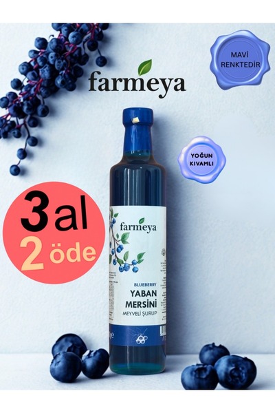 farmeya Yaban Mersin Özü 700gr - Yaban Mersini Meyveli Şurup