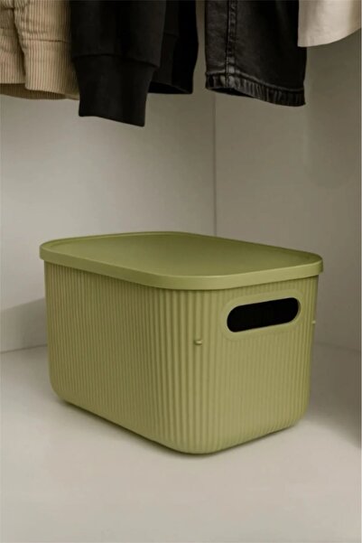 Bayev منظم خزانة أخضر متعدد الأغراض سعة 6 لتر، صندوق واحد مع غطاء، صندوق تخزي...