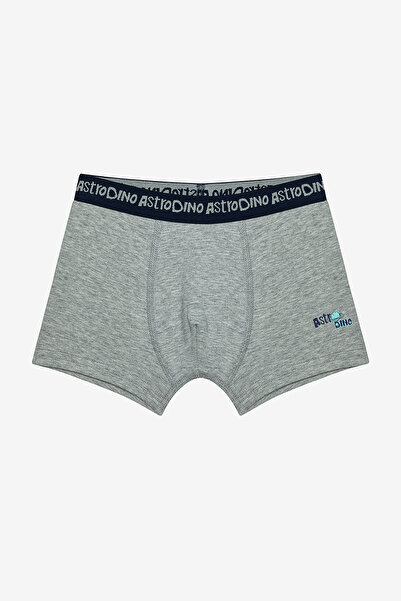 Penti Astro Dino mehrfarbige 2-teilige Boxershorts für Jungen