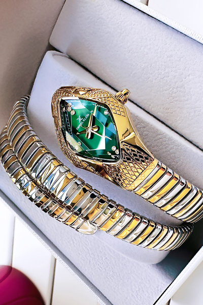 Daniel Klein Snake Model Women Wrist Watch, Waterproof Gold Silver Steel Band - Bracelet Gift Gdkb2012C3