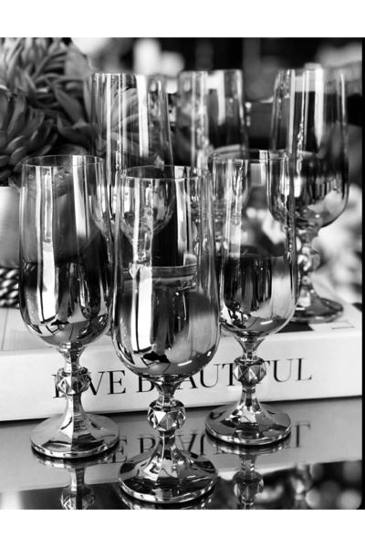 LOKMAN ZÜCCACİYE SHOWROOM Bohemia Crystal Titanium Silver Coffee Side Water Glass 180Cc