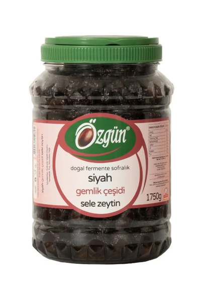 ÖZGÜN ZEYTİN & ZEYTİNYAĞI Gemlik çeşidi Kuru Sele Zeytin 2lik Pet net 1750 gr