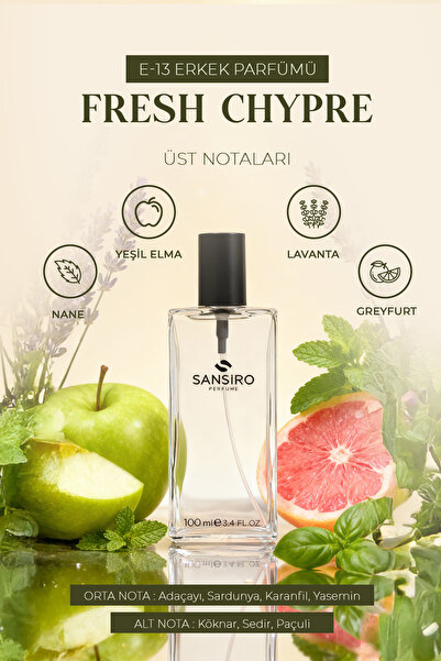 Sansiro E-13 Erkek Parfüm 100ml Edp