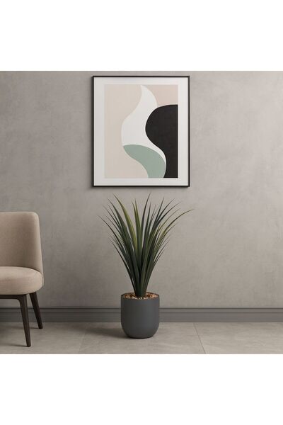 co arma Cactus tree in a plastic pot - 70 cm in a round plastic container