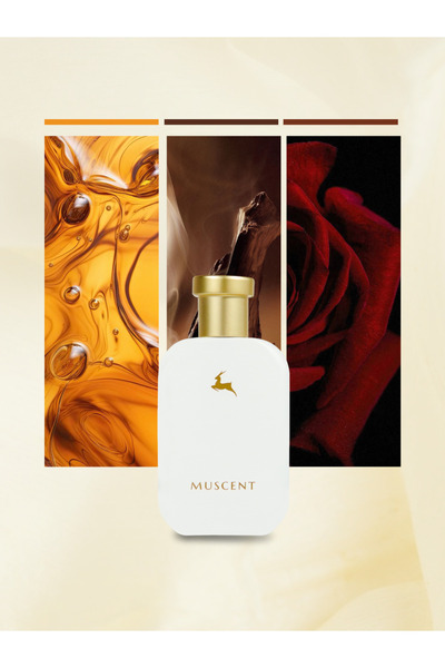 MUSCENT C064 Baronda 50 ml.