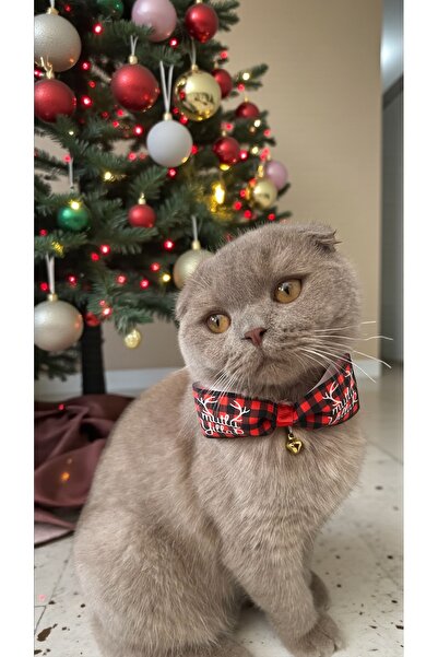 Yılbaşı konsept kedi ve küçük ırk köpek tasması