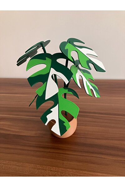 genomera Raphidaphora Bitkisi Şeklinde Bardak Altlığı