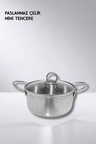 ViZKA Stainless Steel Pot, Mini Pot 16X6