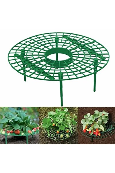 YATE10 (1 ADET) Plastik Çilek Büyütme Standı