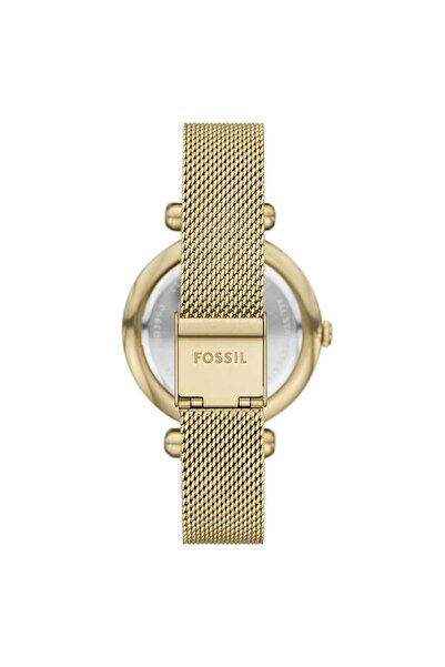 Fossil Fbq3990 Women's Wristwatch