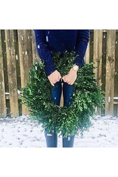 Fossil FES3203 Women's Wristwatch