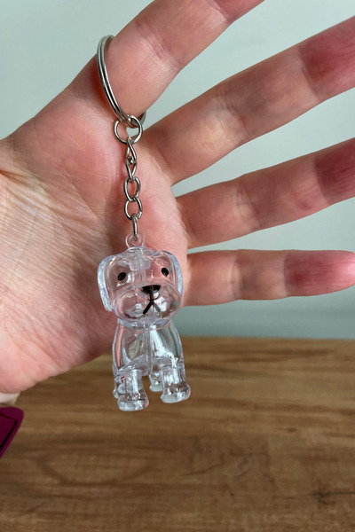 Kreta Store Şeffaf Köpek Tüyü Saklama Kutusu- Evcil Hayvan Tüyü Hatırası Hedi...