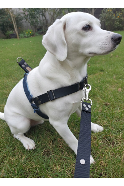 balkonda طوق للكلاب مناسب للسلالات الصغيرة والمتوسطة، قابل للتعديل من الأمام ...