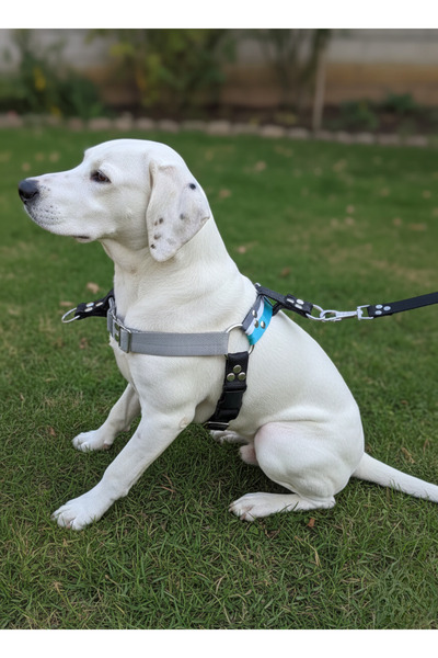 balkonda Dog Chest Harness for Large Breeds, Adjustable Front and Back Pullin...