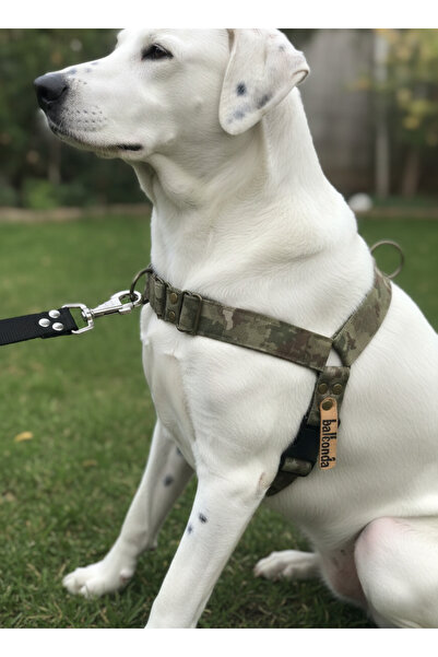 balkonda طوق للكلاب متوسط ​​الحجم، كبير الحجم، قابل للتعديل من الأمام والخلف،...