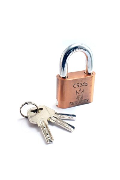 richmann Top Security 50 mm padlock, copper body, 3 keys,