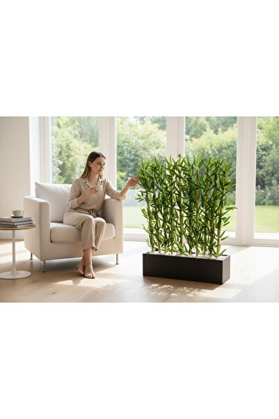 ERHAN FLOWERS 70×20 Antrasit Saksıda 10 Adet 100 Cm Bambu