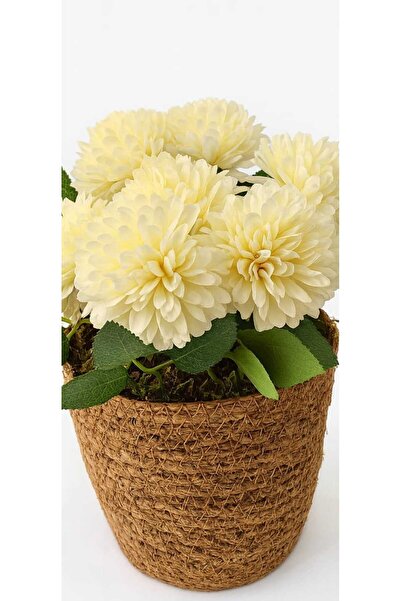 Home Krem Çiçekli Doğal Hasır Saksı Aranjman