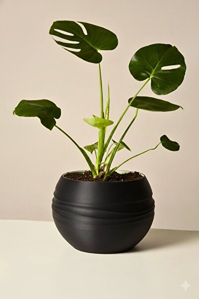 3D Kendini Sulayan Modern Saksı – Plastik Otomatik Su Depolamalı Saksı / İç M...