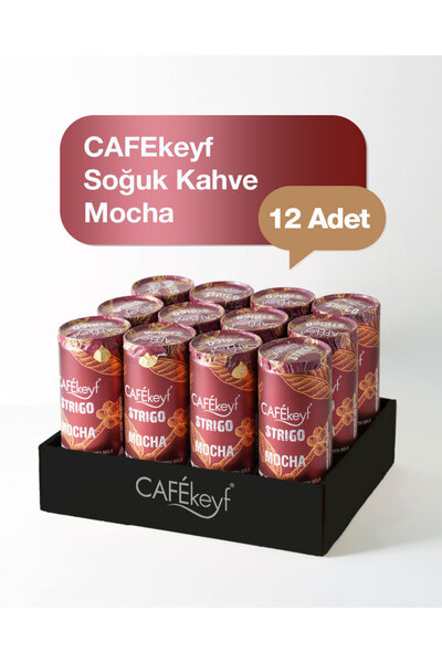 cafekeyf strigo Mocha 250ml. x12 adet
