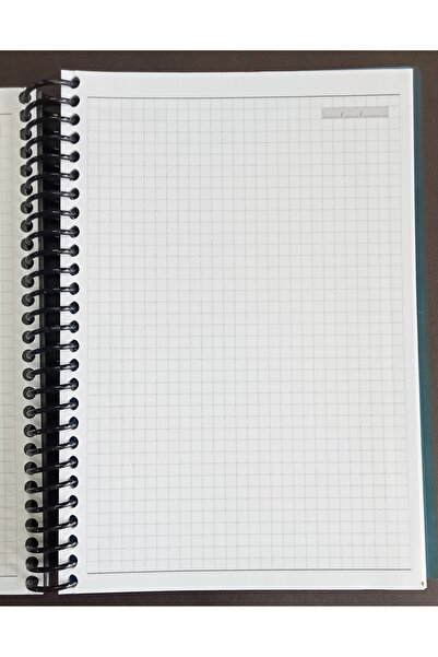 DEFTERSAN 17x24 cm tarihsiz ajanda, günlük anı defteri 160 yaprak 4 bölümlü kareli