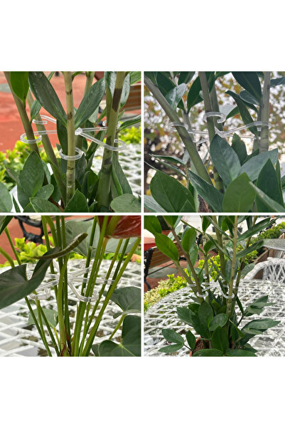 DmeFlora Bitki Gövde Sabitleme ve Destek Klipsi 4 Adet Şeffaf