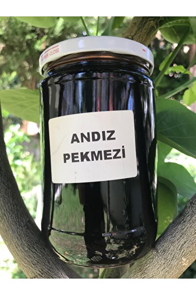 DOĞALINDAN DALINDAN %100 ANDIZ PEKMEZİ 800 Gr.
