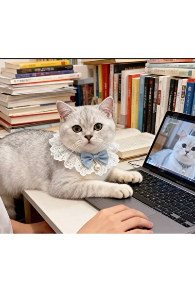 STEELVA زي القطط مع الفيونكة واللؤلؤ (قلادة، باندانا)