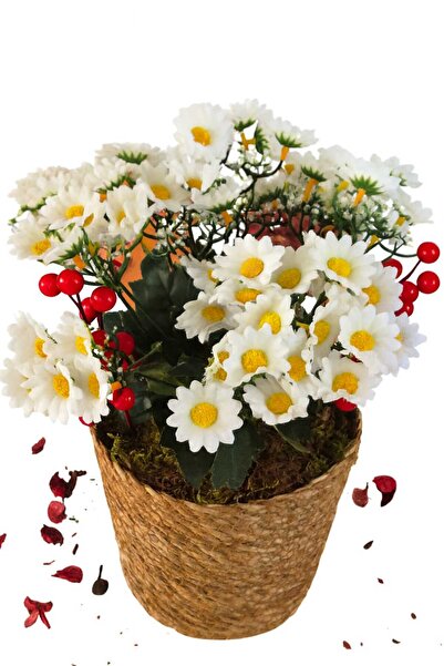 Home Beyaz Papatya & Kokina Yapay Aranjman (Büyük)