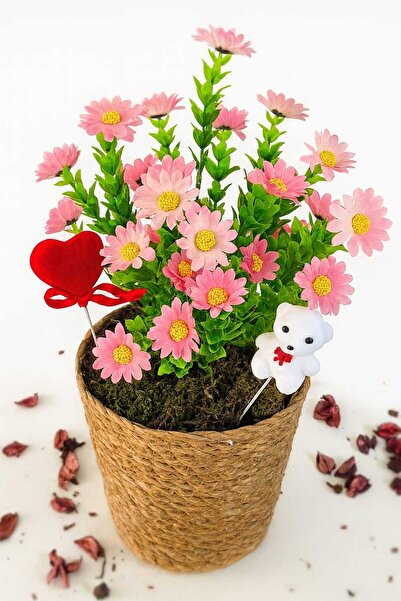 Home pembe Papatya & Kokina Yapay Aranjman (Büyük)