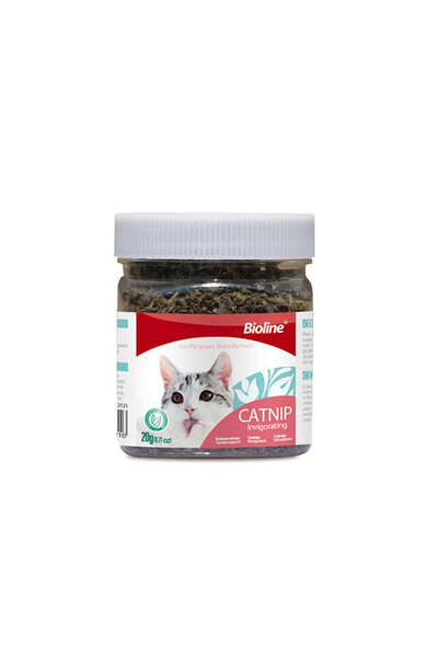Bioline Sptrns Catnip Cat Grass (232317) 20 Gr