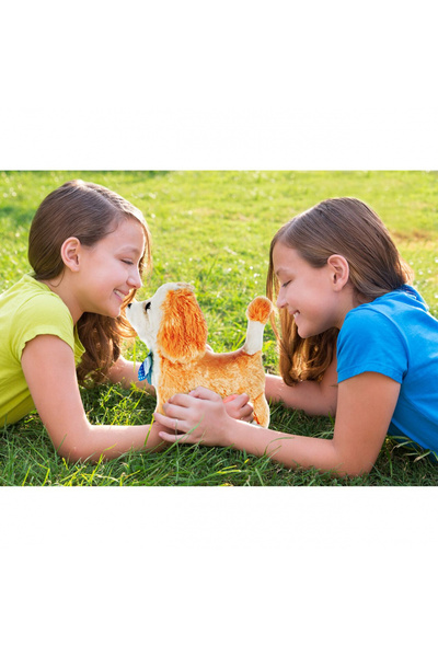 MalPlay Interactive toy Plush puppy controlled by remote control