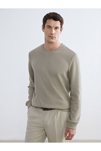 LC Waikiki سويت شيرت رجالي من SOUTHBLUE باللون البيج وياقة دائرية W5G043Z8