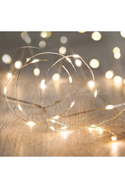Generic LED Firefly String Lights Garden Home Party Wedding Festival Decorations Crafting Battery Operated L