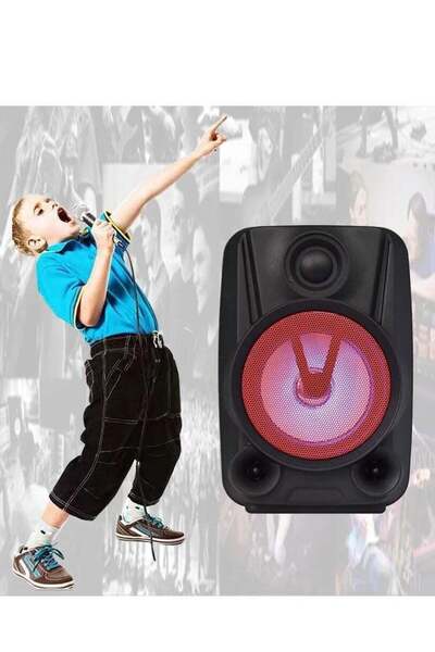 The comprehensive house Bluetooth Speaker with Radio and Microphone