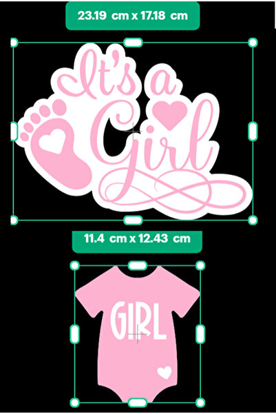 Hiras Dizayn 11 Pieces Baby Shower Party String Banner Boy or Girl Blue/Pink Baby Shower Decorations