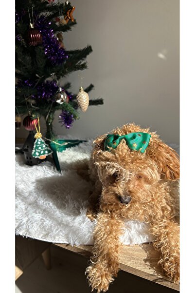 MeloKids مشبك للكلاب على شكل شريط منقوش بتصميم نجمة خضراء لعيد الميلاد