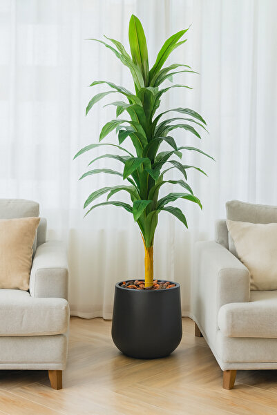 SADANHOME Corn plant in the middle of a plastic pot - 155 cm