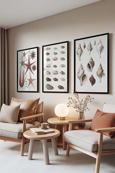 Zestia Set de 3 tablouri cu ramă neagră, Colecția Marine, Ilustrație vintage,...