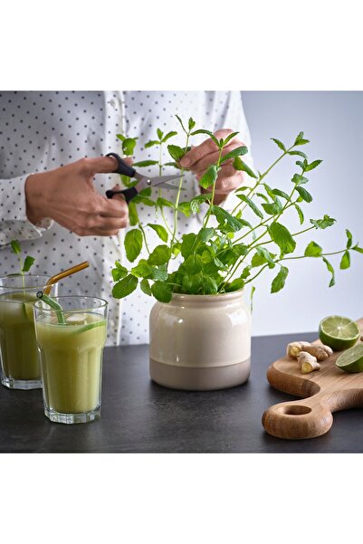 Generic Jar with lid, beige, 1 l