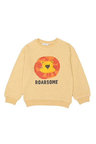 BALKABAĞI Roarsome Boy 100% pamuk Oversize kroj Znoj