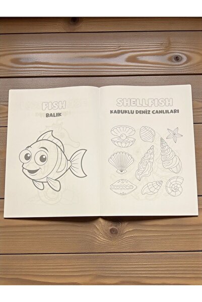 Harika Kitap Pedagog Approved English Coloring Book Set of 10