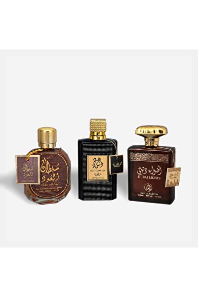 ZEYTI Set of 3 Oriental Men's Perfumes – Sultan Al Oud, Oud Aswad & Dubai Lights (100 ml x 3)